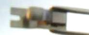 30_78_Schleifer_20_16x_1.jpg