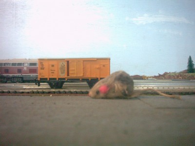 Autotransportwagen 001.jpg