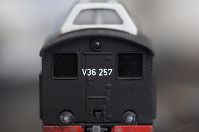 KJ4C1330_1000px.jpg