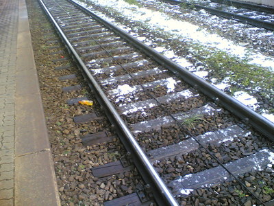 03112006.jpg