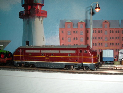 Dänische Rundnase 024a.JPG