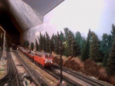 PICT0302.JPG