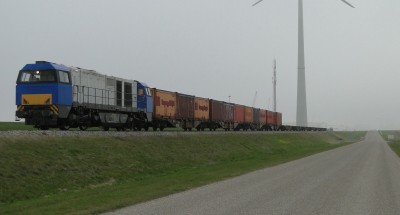Husa 1446 20111116 10.57.JPG