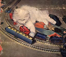 zz chattrain.jpg